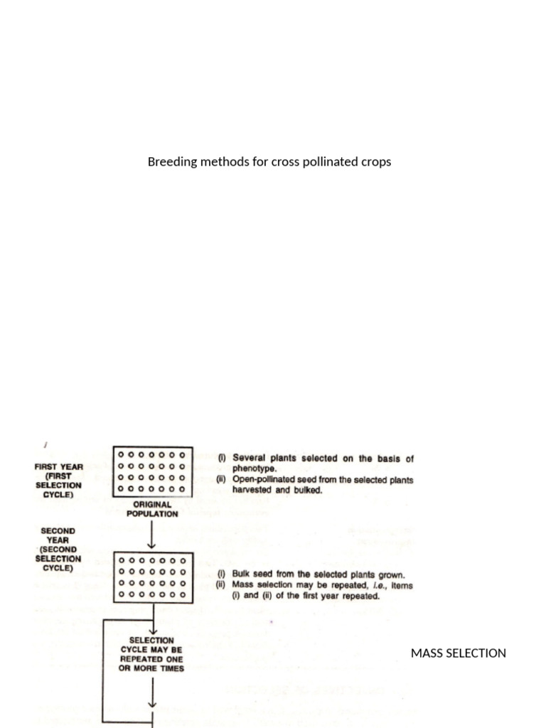 Cross-Pollination Breeding Methods | PDF | Plant Breeding | Inbreeding