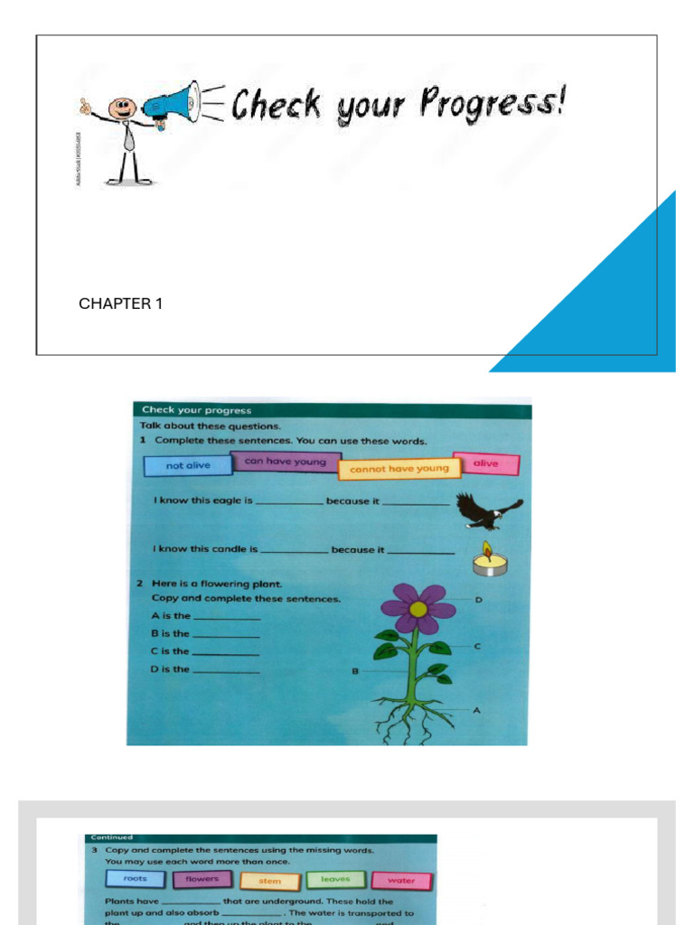 Chapter 1 Check Progress g3 | PDF