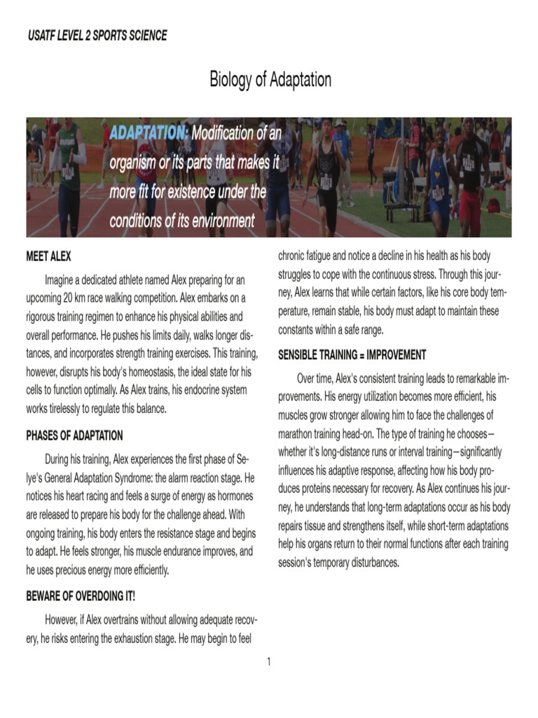 Understanding Athlete Adaptation Phases | PDF | Stress (Biology ...