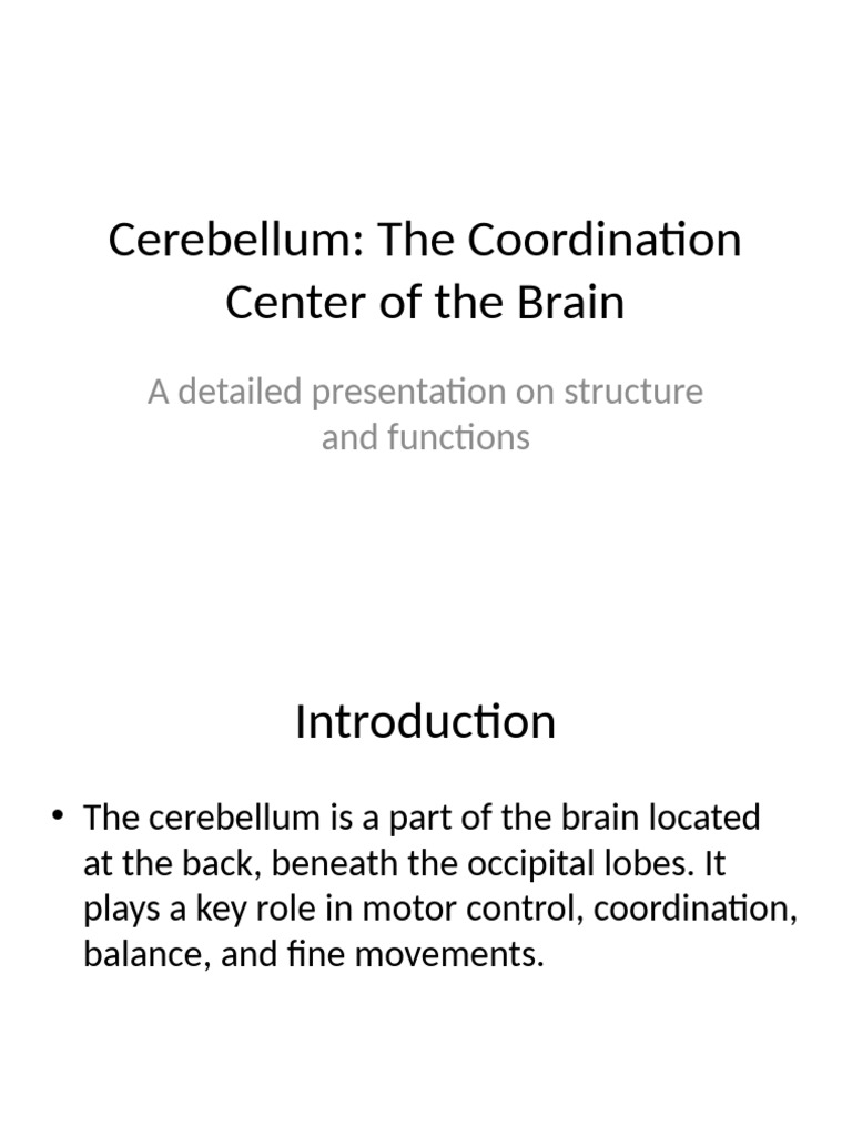 Cerebellum: Structure and Functions | PDF