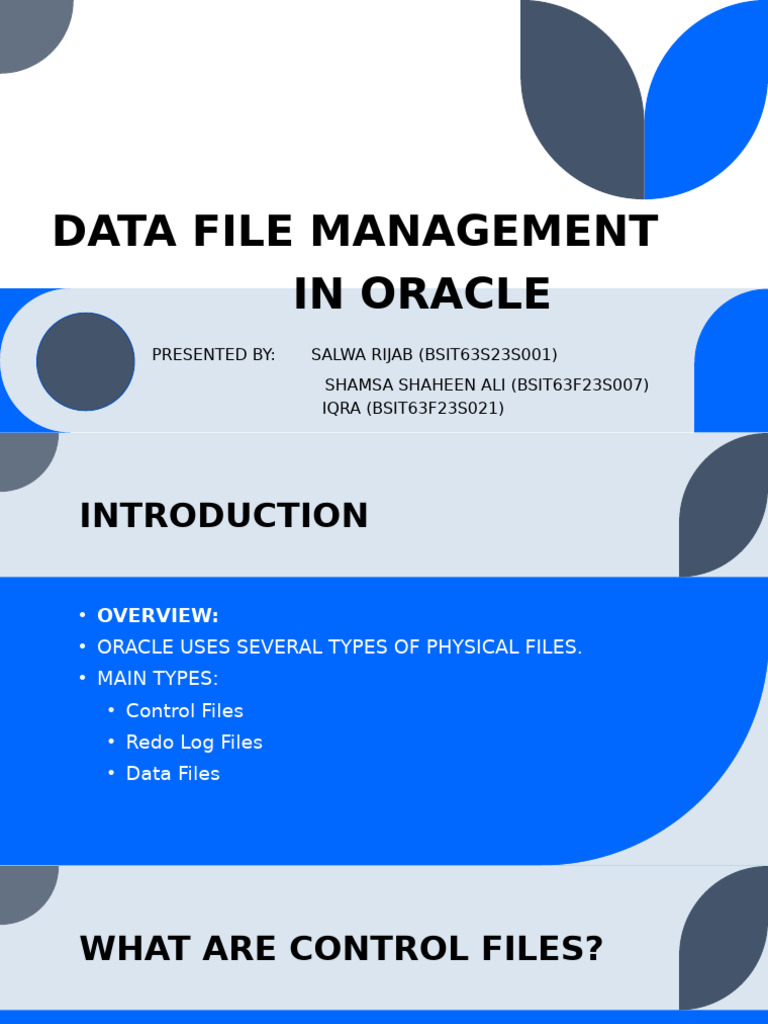 Data File Management in Oracle-1 | PDF | Databases | Software