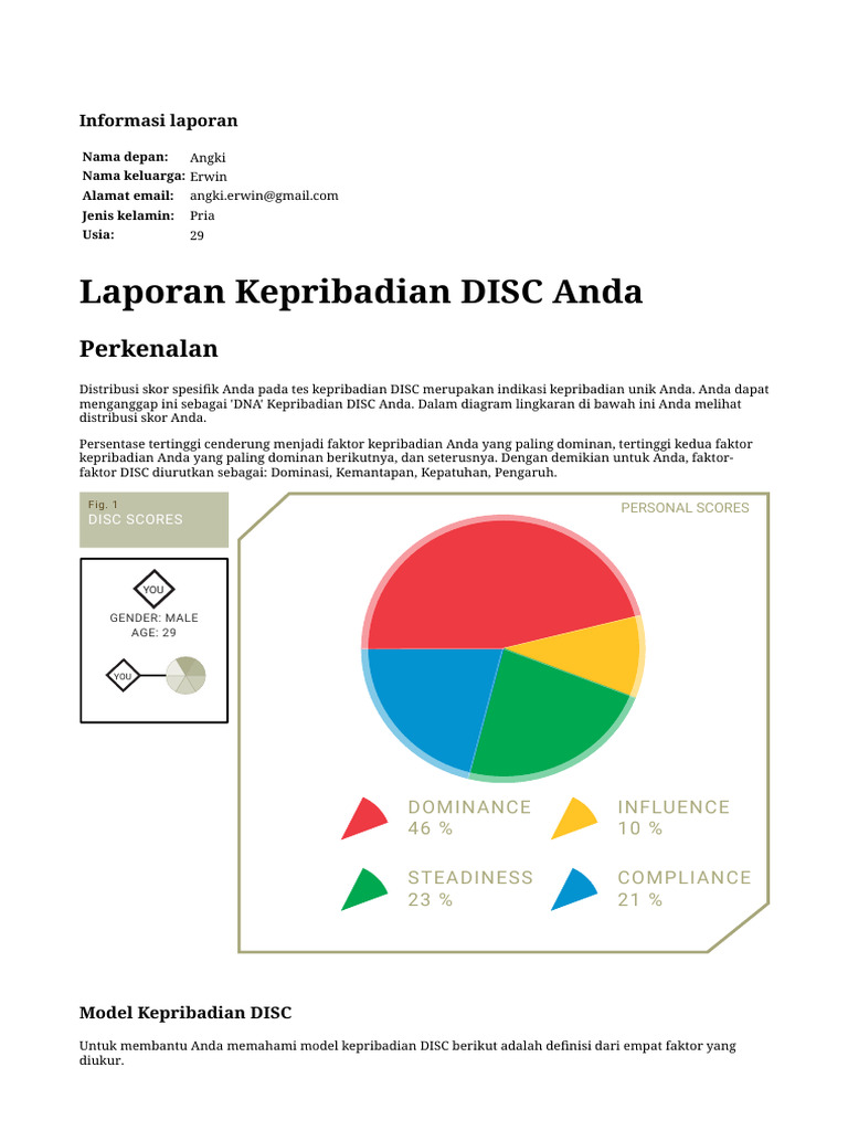 Laporan Kepribadian DISC Angki Erwin | PDF