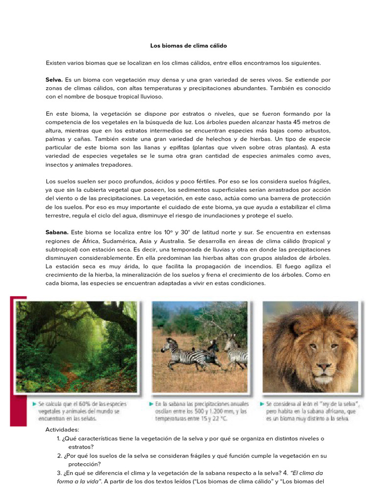Biomas de Clima Cálido: Selva y Sabana | PDF | Selva | Desierto