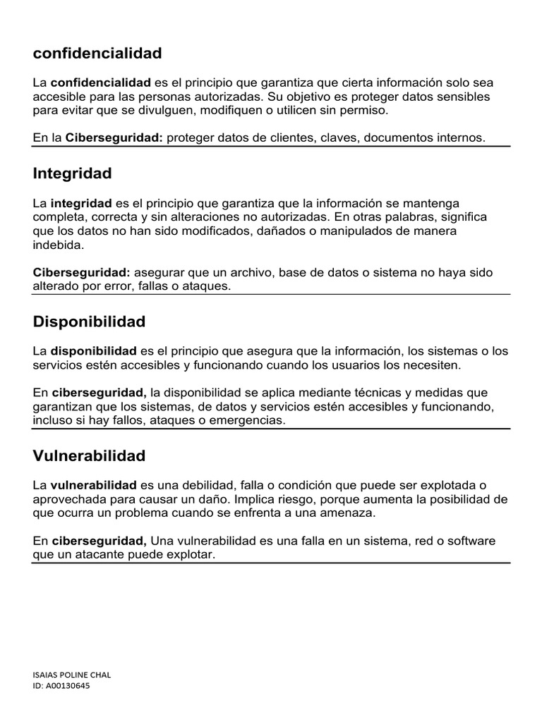 Principios Clave de Ciberseguridad | PDF | La seguridad informática ...