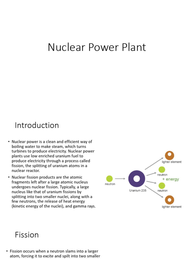 Overview of Nuclear Power Plants | PDF | Nuclear Reactor | Nuclear Fission
