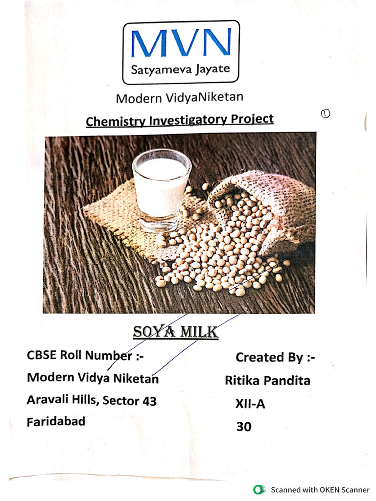Chem Project File | PDF