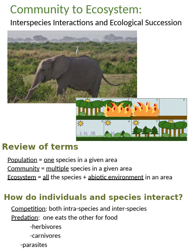 5 Ecology-Community Ecosystem | PDF | Ecological Niche | Natural Selection