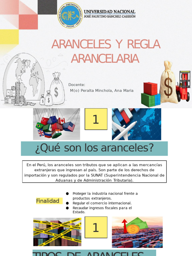 Aranceles y Nomenclatura en Perú | PDF | aduana | Arancel
