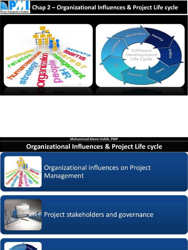 Project Management Structures Explained | PDF