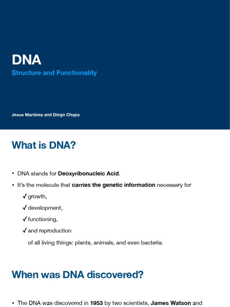 Understanding DNA: Structure & Function | PDF