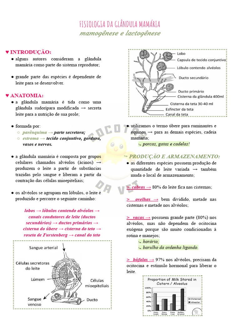 Fisiologia da Glândula Mamária: Mamogênese e Lactogênese | PDF ...