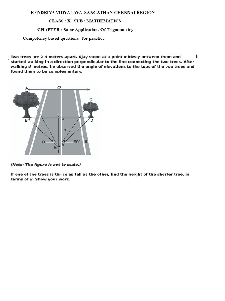 Trigonometry Practice for Class X | PDF