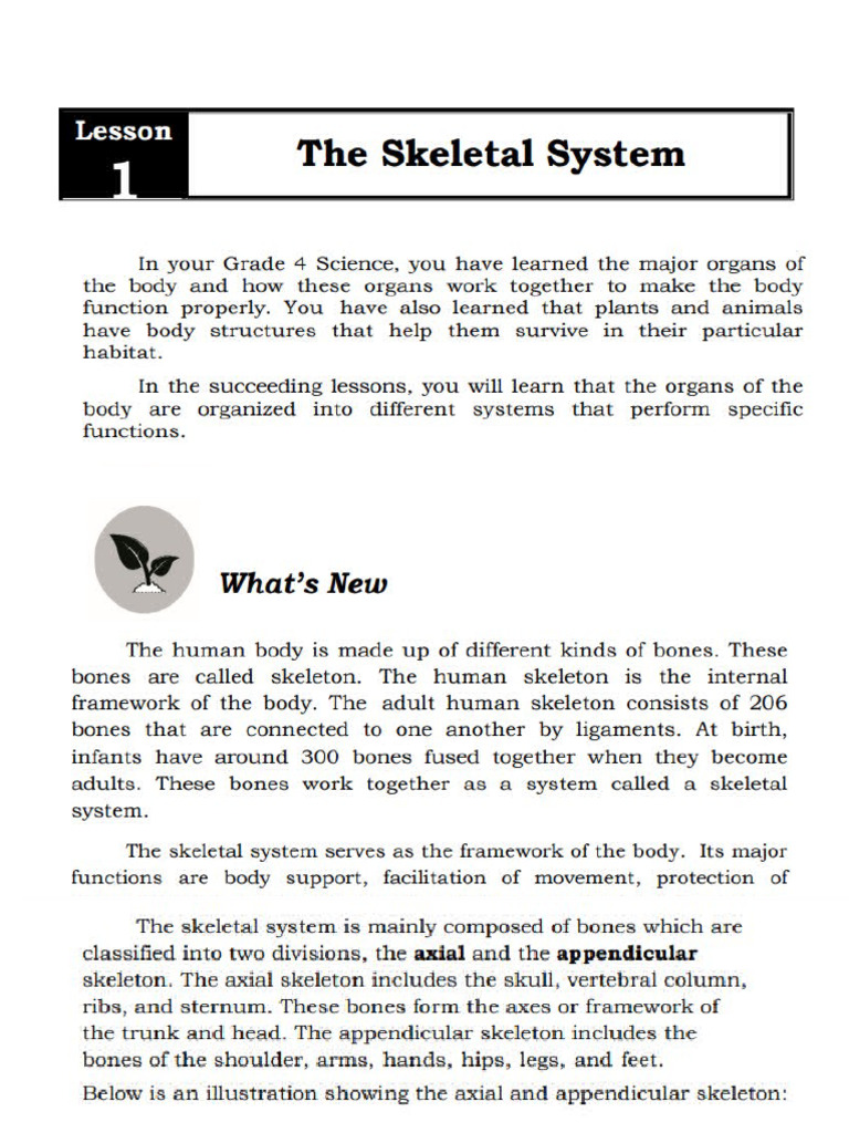 Activity in Science 6 - Quarter2 | PDF