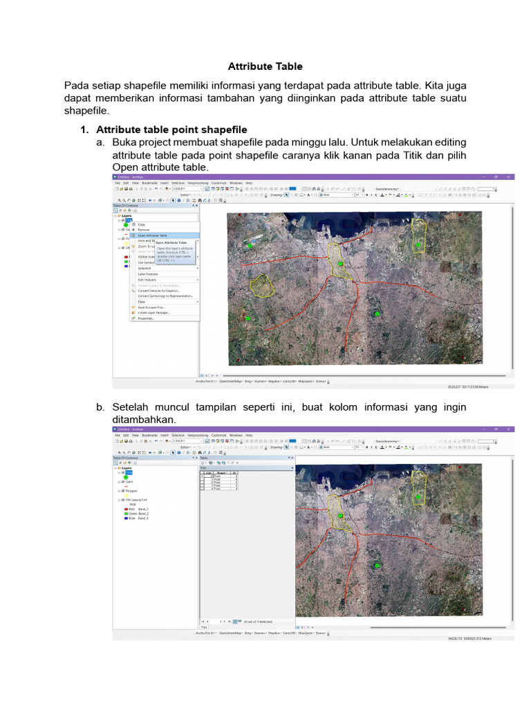 Panduan Editing Attribute Table Shapefile | PDF