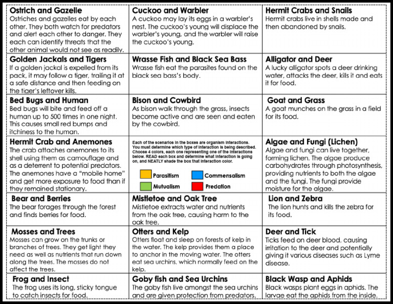 Color Coding Symbiotic Relationships | PDF