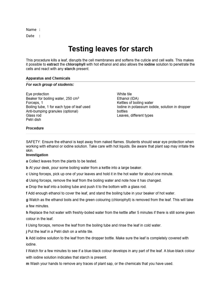 Starch Testing in Leaves Procedure | PDF