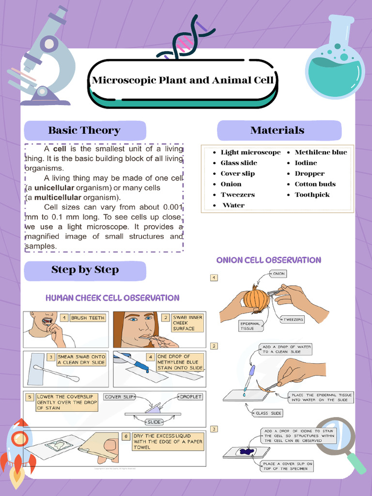 Microscopic Cell Observation Guide | PDF