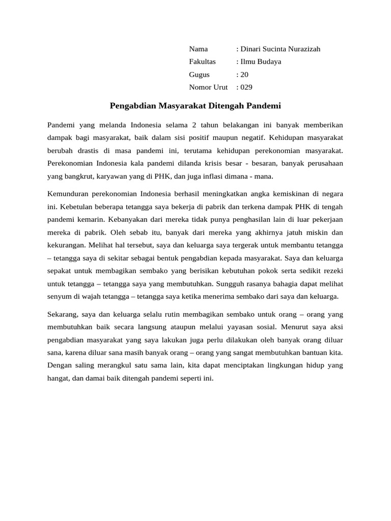 20 - 029 - Dinari Sucinta Nurazizah - Mission Pengabdian Masyarakat | PDF