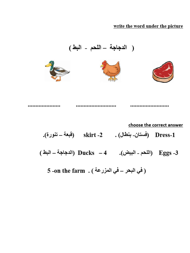 Work Sheet | PDF