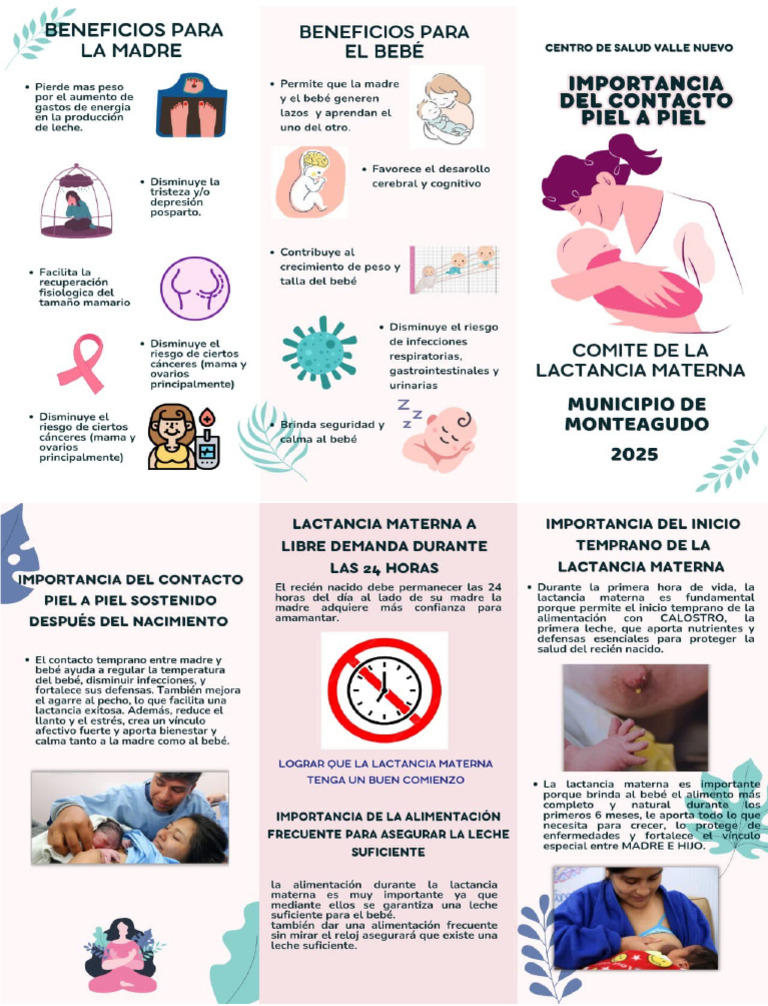 Triptico de La Lactancia Materna e | PDF