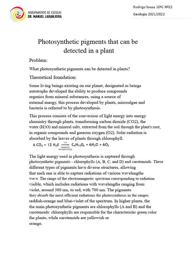 Photosynthetic Pigments in Plants | PDF | Photosynthesis | Chlorophyll