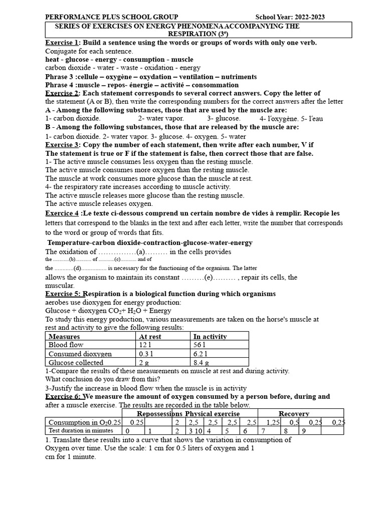 Energy Phenomena Series in 3rd PP | PDF | Blood | Oxygen