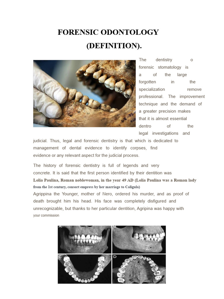 FORENSIC ODONTOLOGY FOR JUNE 26 | PDF | Human Tooth | Dental Anatomy