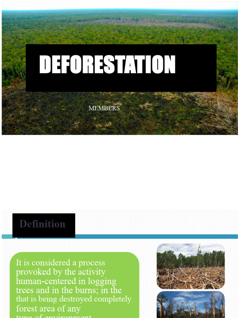 Deforestation: Causes and Solutions | PDF | Deforestation | Forests