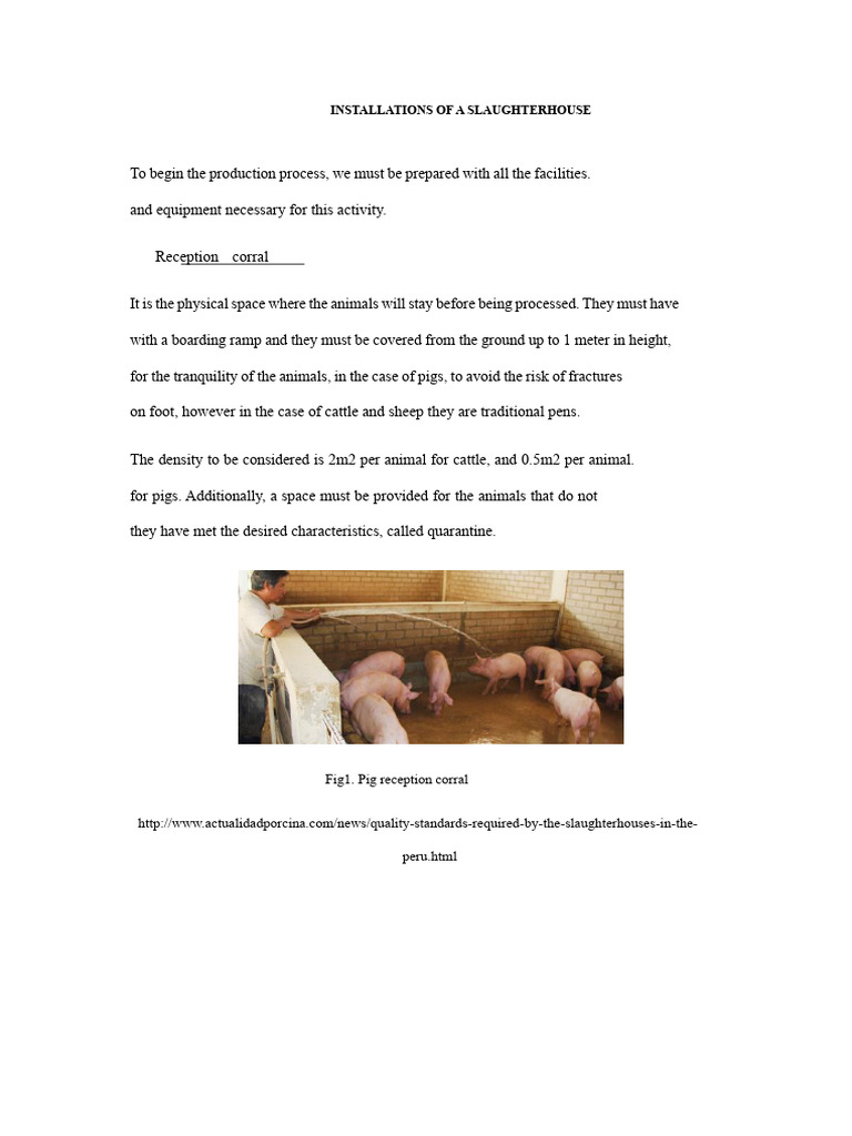 Slaughterhouse Installation Guide | PDF | Slaughterhouse | Animal Slaughter