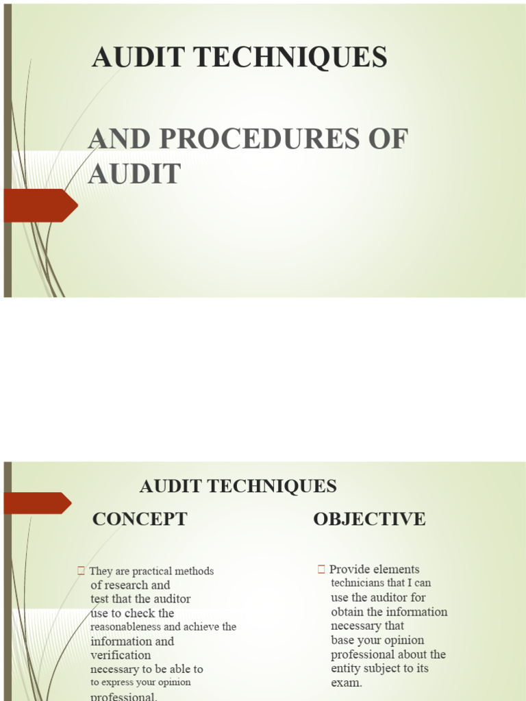 Audit Techniques and Procedures Guide | PDF | Audit