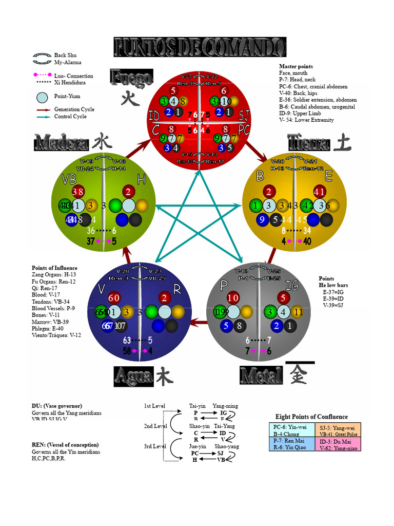 Theory of 5 Elements | PDF | Meridian (Chinese Medicine) | Traditional ...