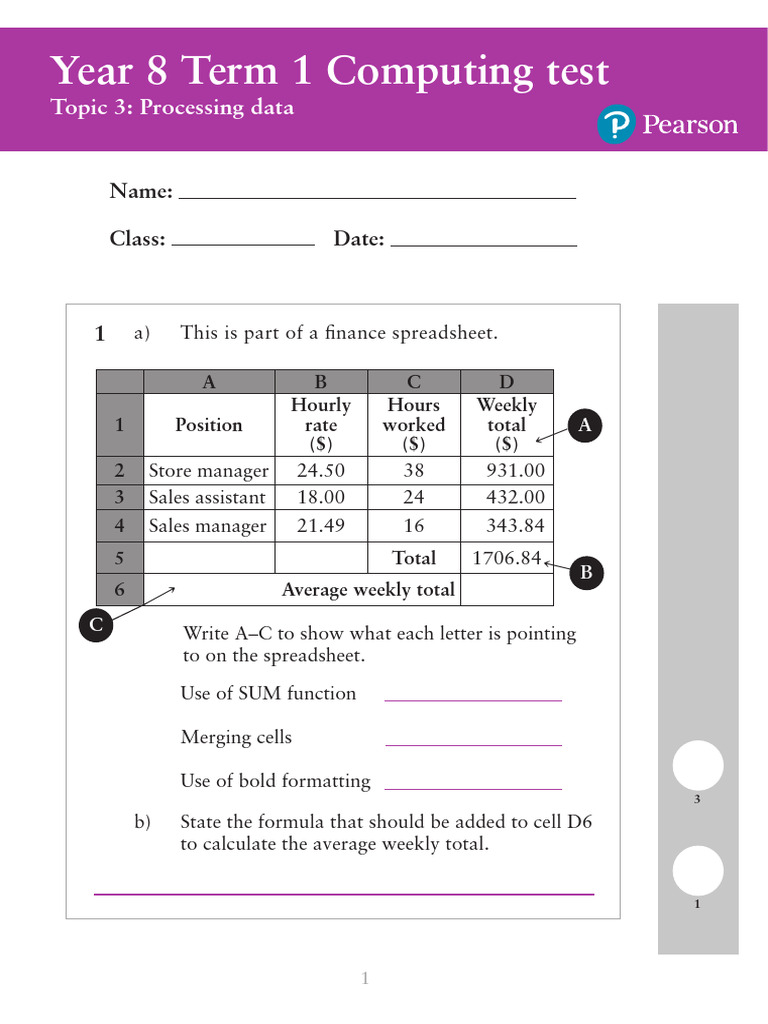 Year 8 Computing Test: Data Processing | PDF | Spreadsheet | Computing