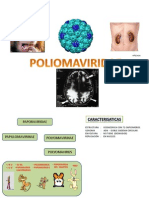 Expo de Virologio Poliomaviridae