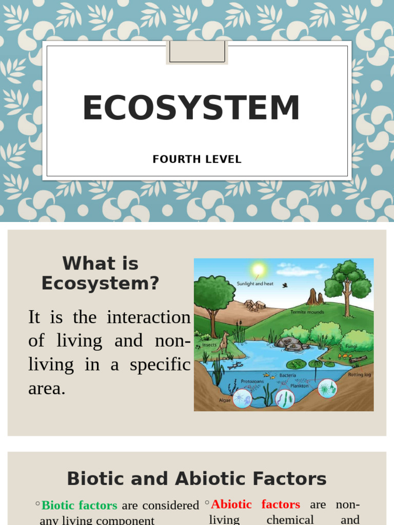 Lesson 2 Ecosystem Pdf Ecosystem Food Web