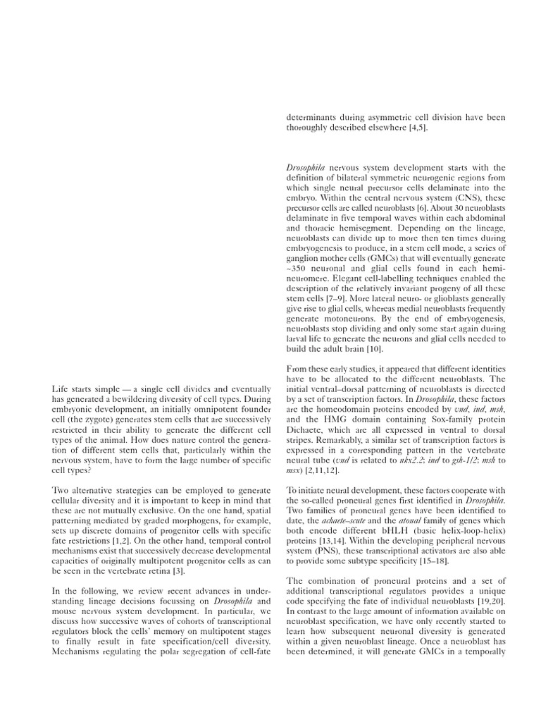 Cell Lineage Specification in The Nervous System | PDF | Nervous System ...
