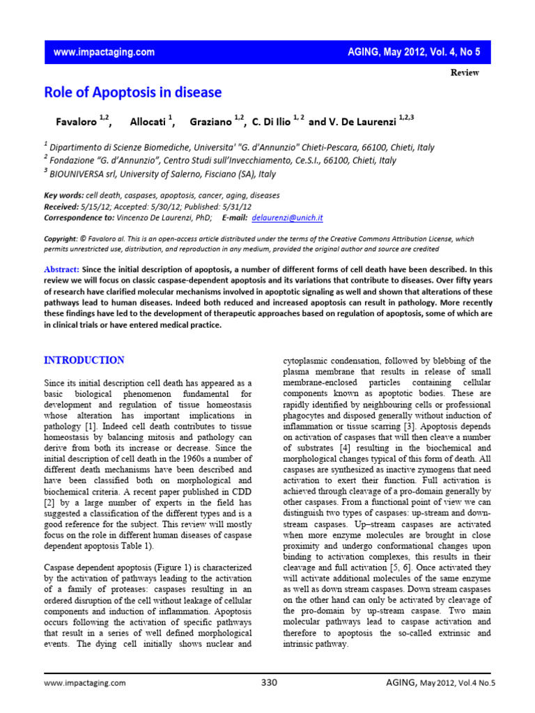 Role of Caspase-Dependent Apoptosis | PDF | Apoptosis | Bcl 2