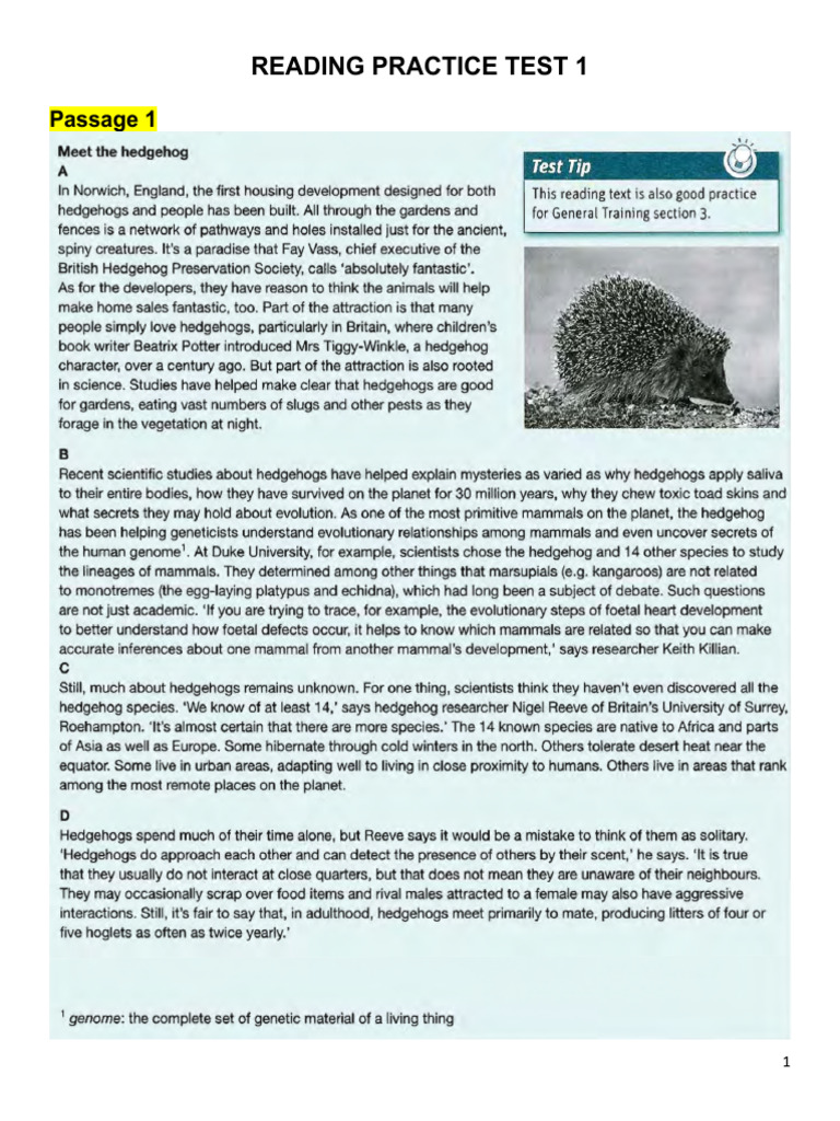 Reading Practice Test 1 | PDF