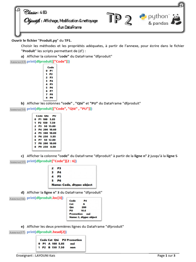 Manipulation de DataFrame avec Python | PDF | Informatique