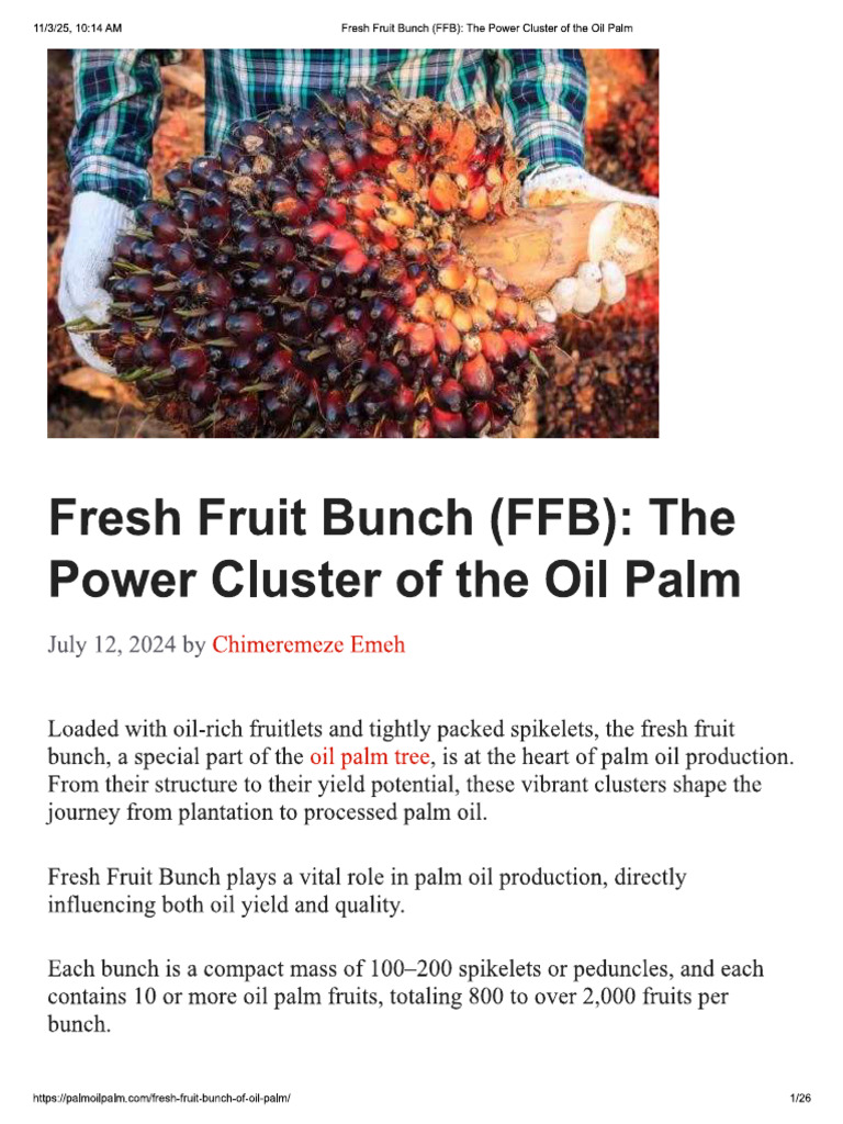 About FFBs | PDF
