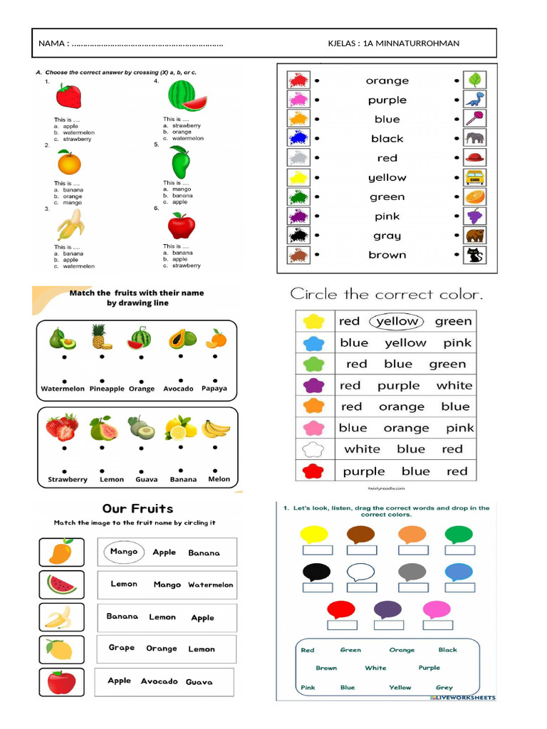 English Fruit and Colour | PDF