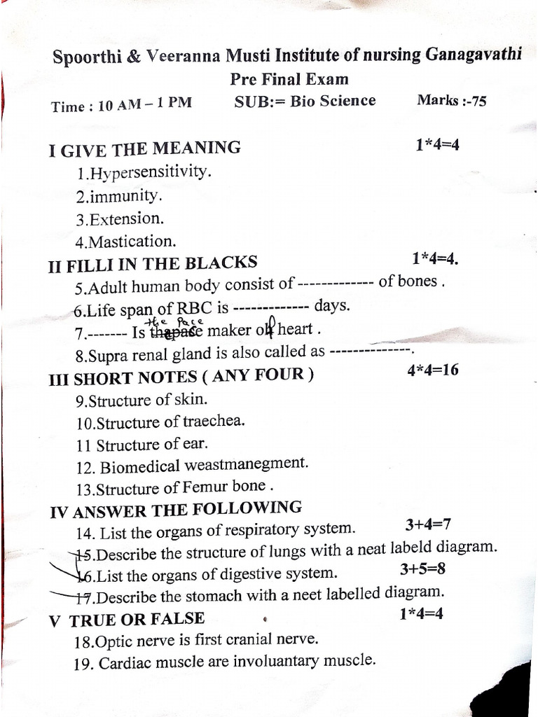 Document 31 | PDF