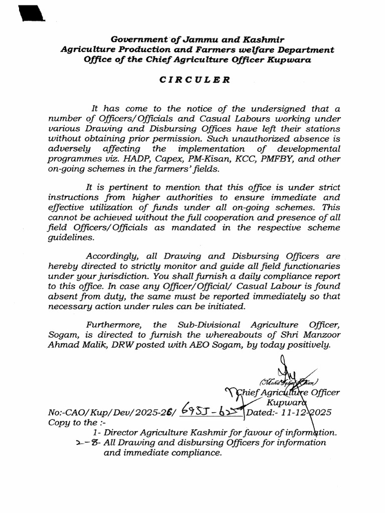 Circular | PDF