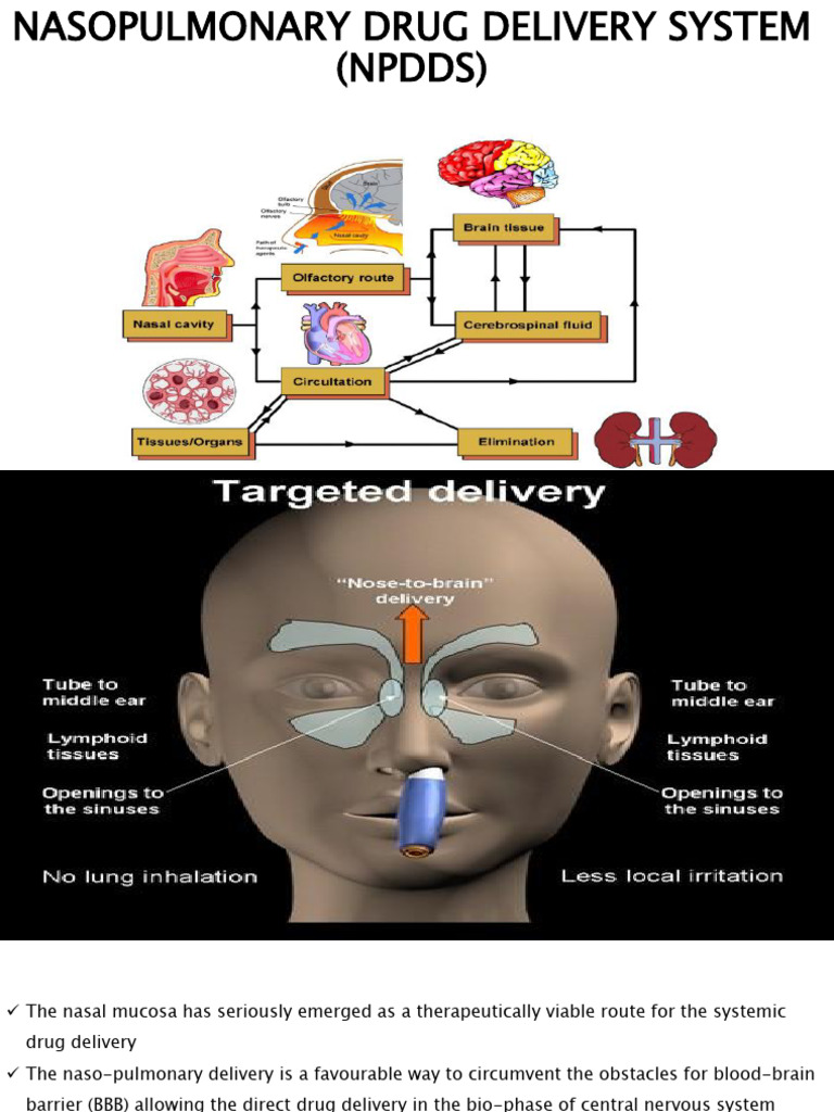 Nasopulmonary Drug Delivery Systems Explained | PDF | Pharmaceutical ...