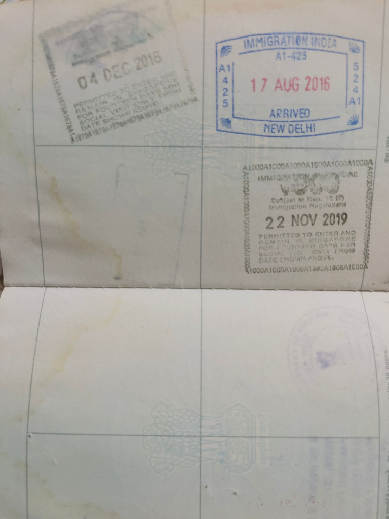 Visa Stamps | PDF