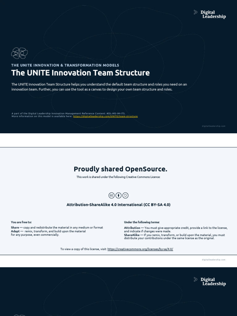 UNITE Innovation Team Structure Guide | PDF | Innovation | Entrepreneurship