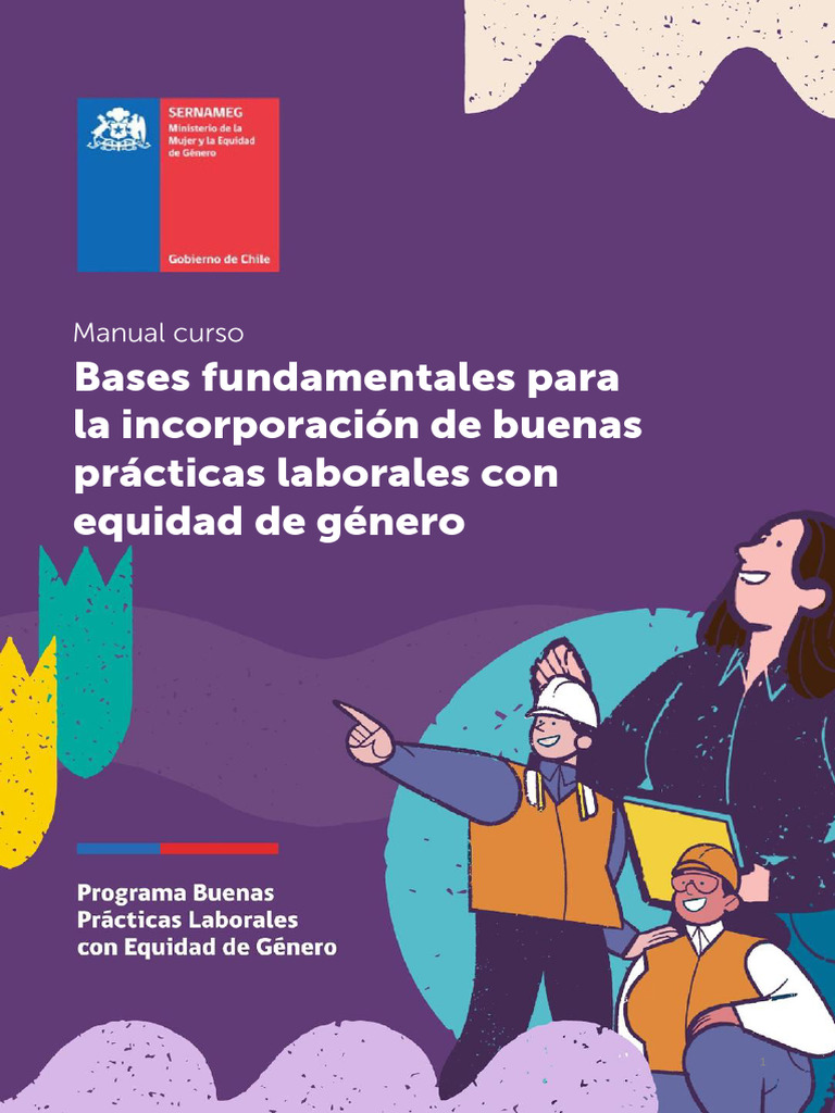 Manual - Bases Fundamentales F | PDF | Estudios de género | Igualdad de ...