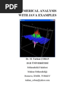 M Turhan Numerical Analysis With Java Examples