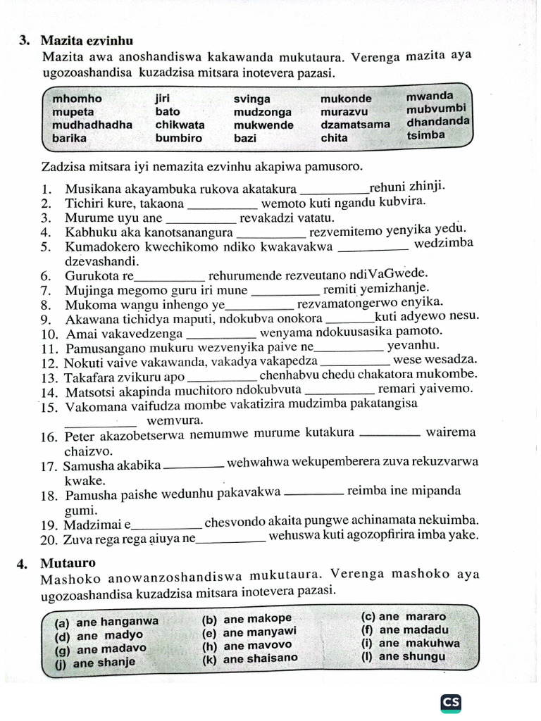 Shona Mutauro Grade 5 | PDF