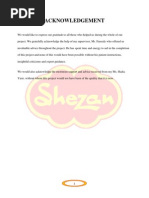 Download Shezan - Strategic Analysis  Planning  by Zohaib H Shah SN96503188 doc pdf