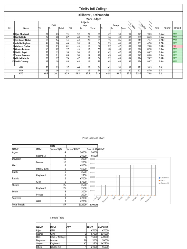 Mark Ledger | PDF